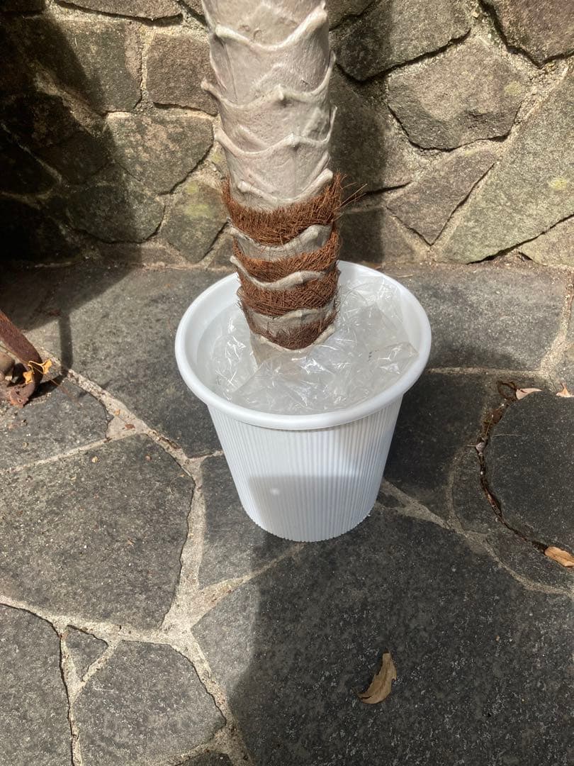 光触媒　人工観葉植物　ウォールグリーン　フェイクグリーン　フェニックス210