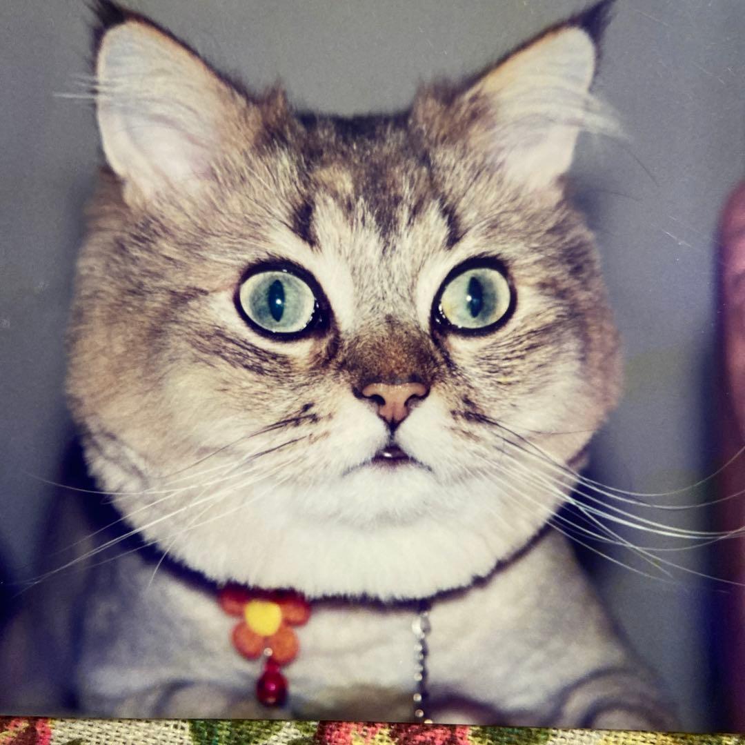 canonEOS7＆canonレンズ