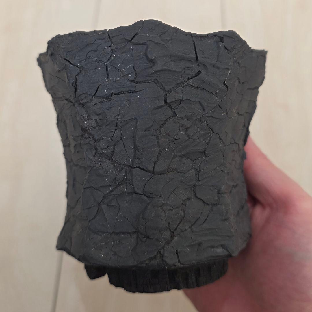 「KIBOKU」botanize×Keiichi Sato 佐藤恵一 鉢