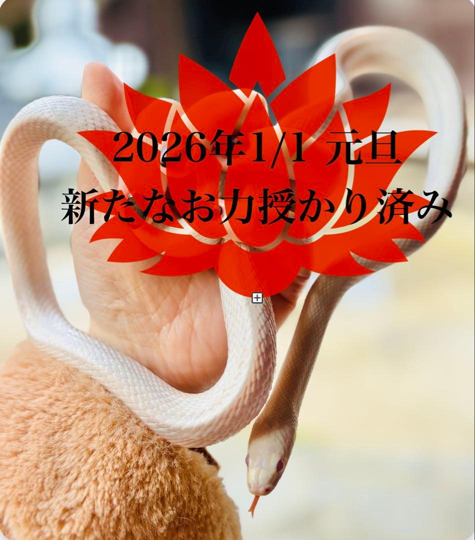 感謝価格❤︎レインボーオーラ❤︎希少♥モリオン♥強力グラウディング♥最強魔除邪気祓い