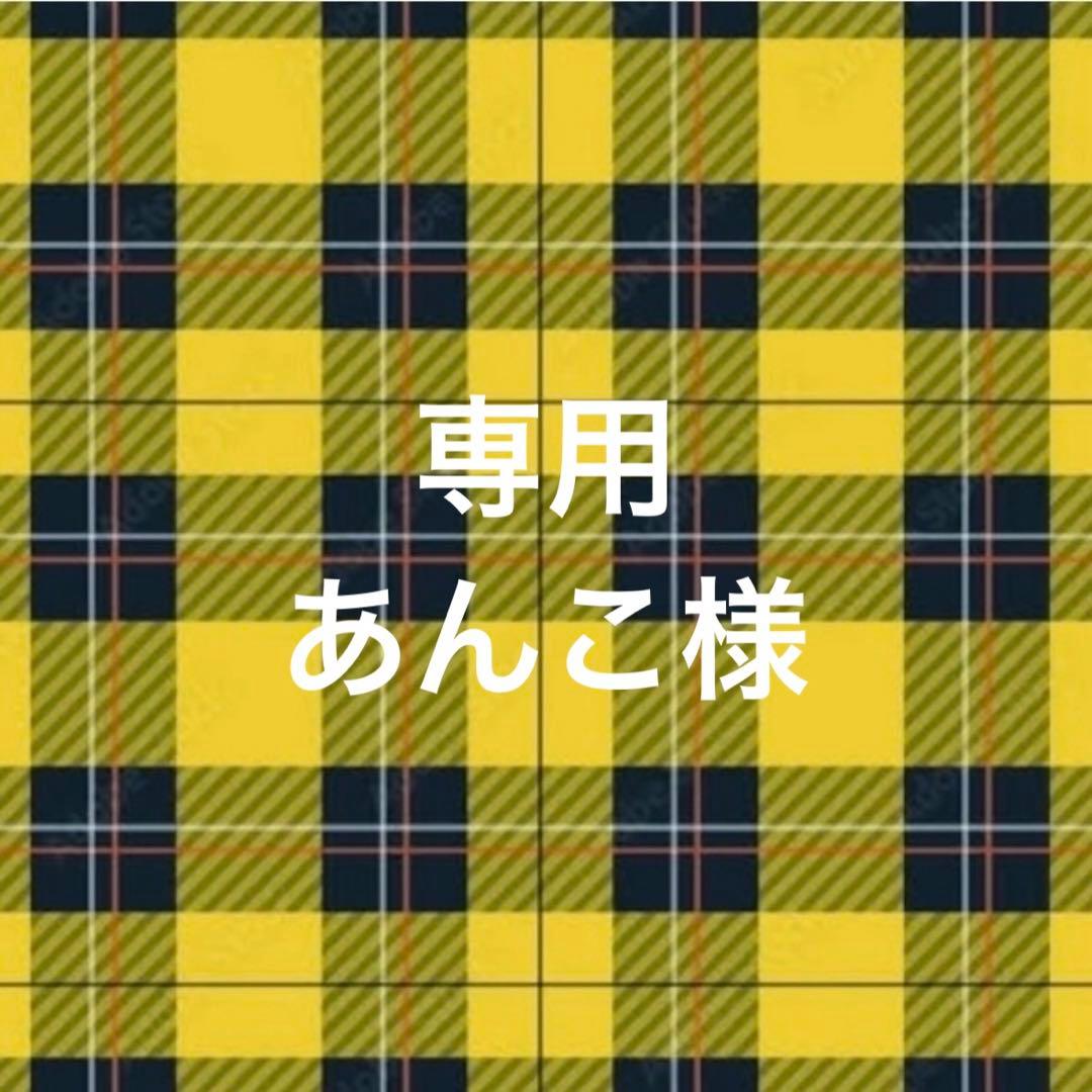 専用ページ あんこ様2/10