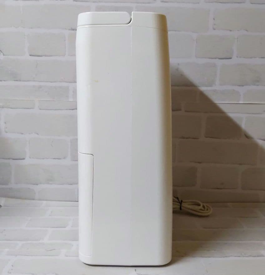 アイリスオーヤマ 衣類乾燥除湿機 DCE-6515 2021年製 説明書付き