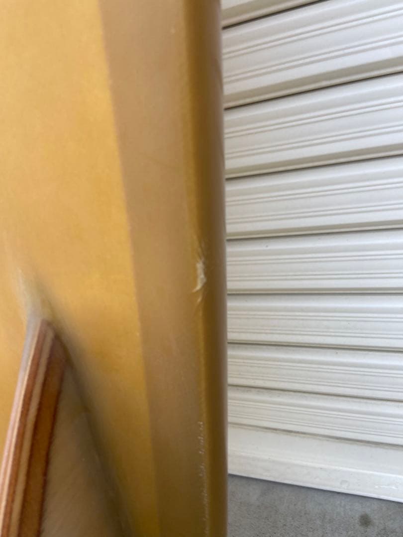 Tyler Warren Sharpes-DREAM FISH 7'0\" 手渡し