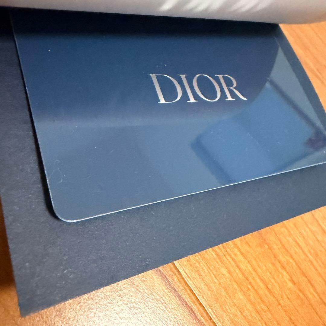 定価50万　正規店購入　ディオールオム トートバッグ　サファリ　メンズ 大容量