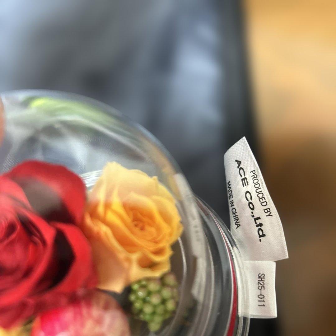 エースガーメントバッグ