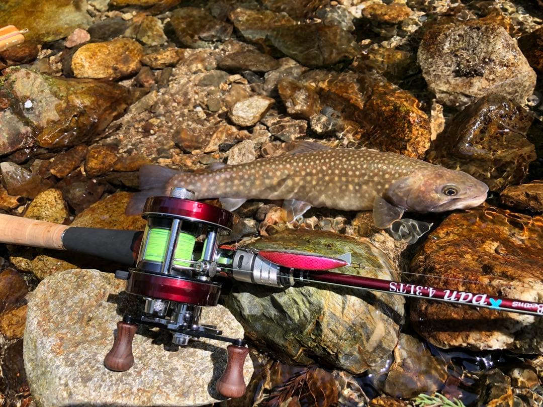 Abu Garcia ambassadeur1500c 美品　渓流ベイトカスタム