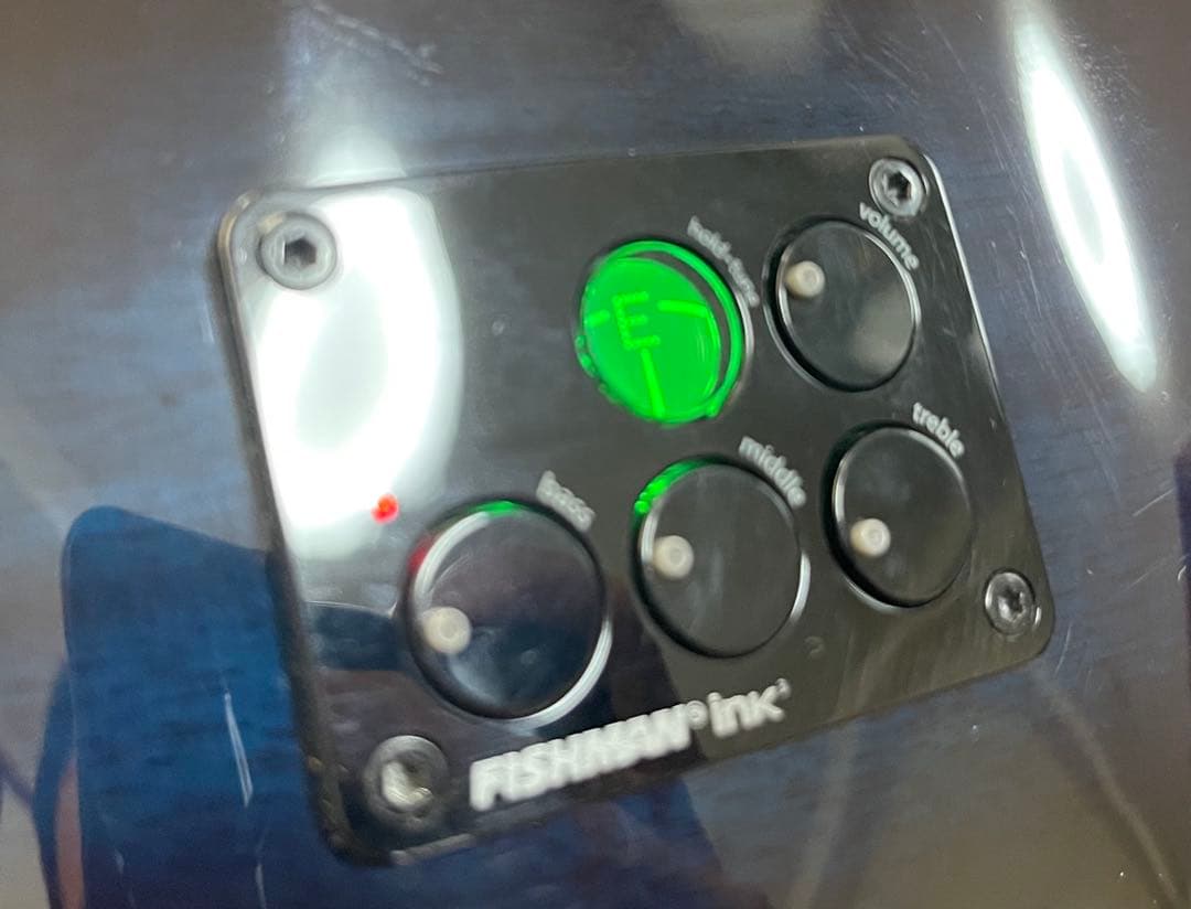 【美品】オール単板 Faith Blue Moon Venusエレアコ