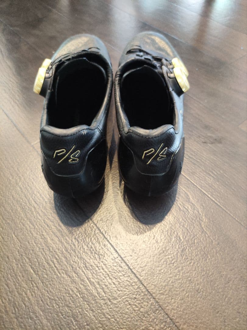 エスワークス7 サガンモデル