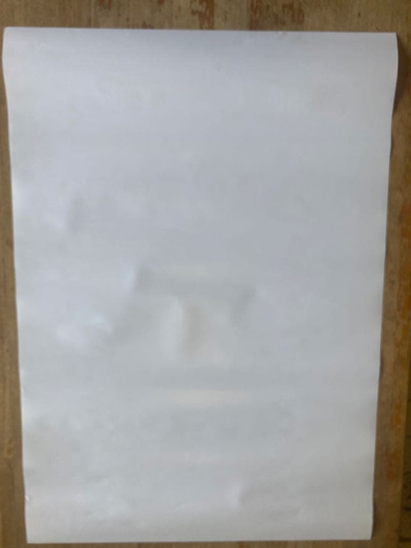 ポケットモンスター　ゼロの秘宝　B2 ポスター