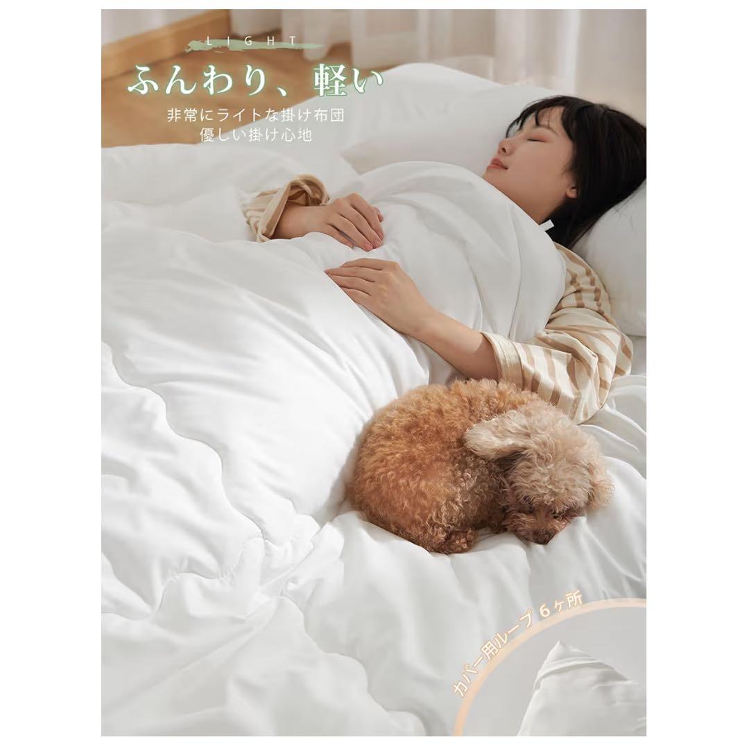 掛け布団 シングル ホワイト 2個セット 抗菌防臭 洗える 軽量 通気性