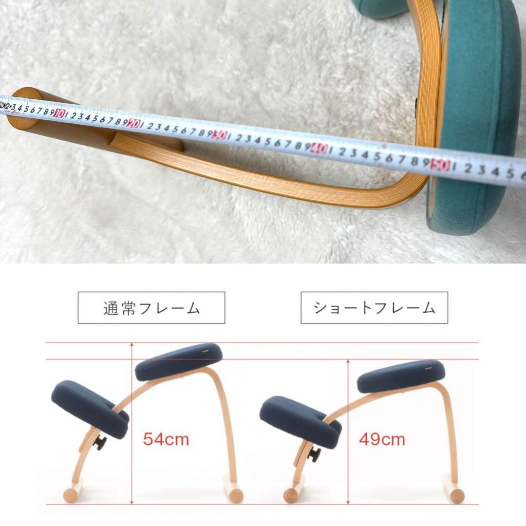 【美品】 Rybo社 リボ社 バランスチェア バランスイージー 姿勢矯正