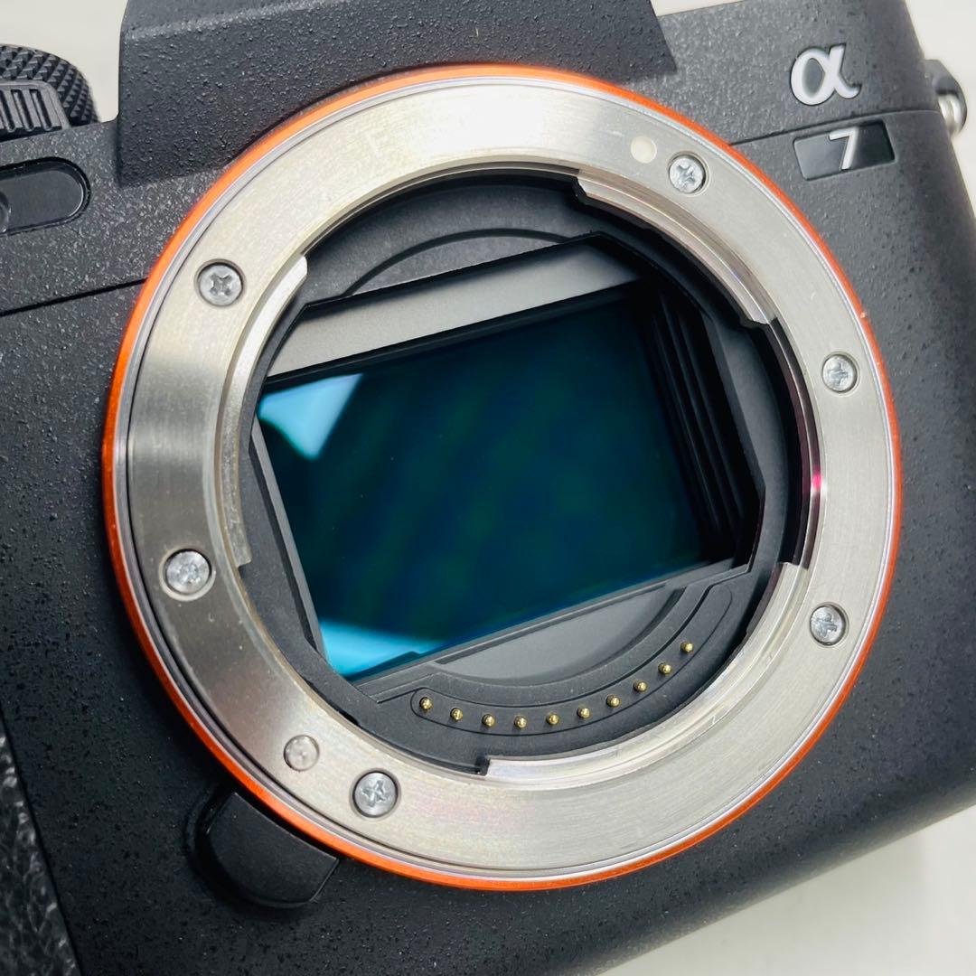 SONY α7Ⅳ ILCE-7M4 ショット数18,764回