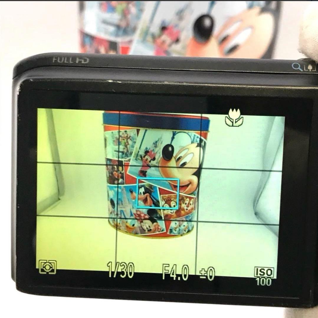 実写美⭕️【動作確認済】Canon PowerShot SX260HS