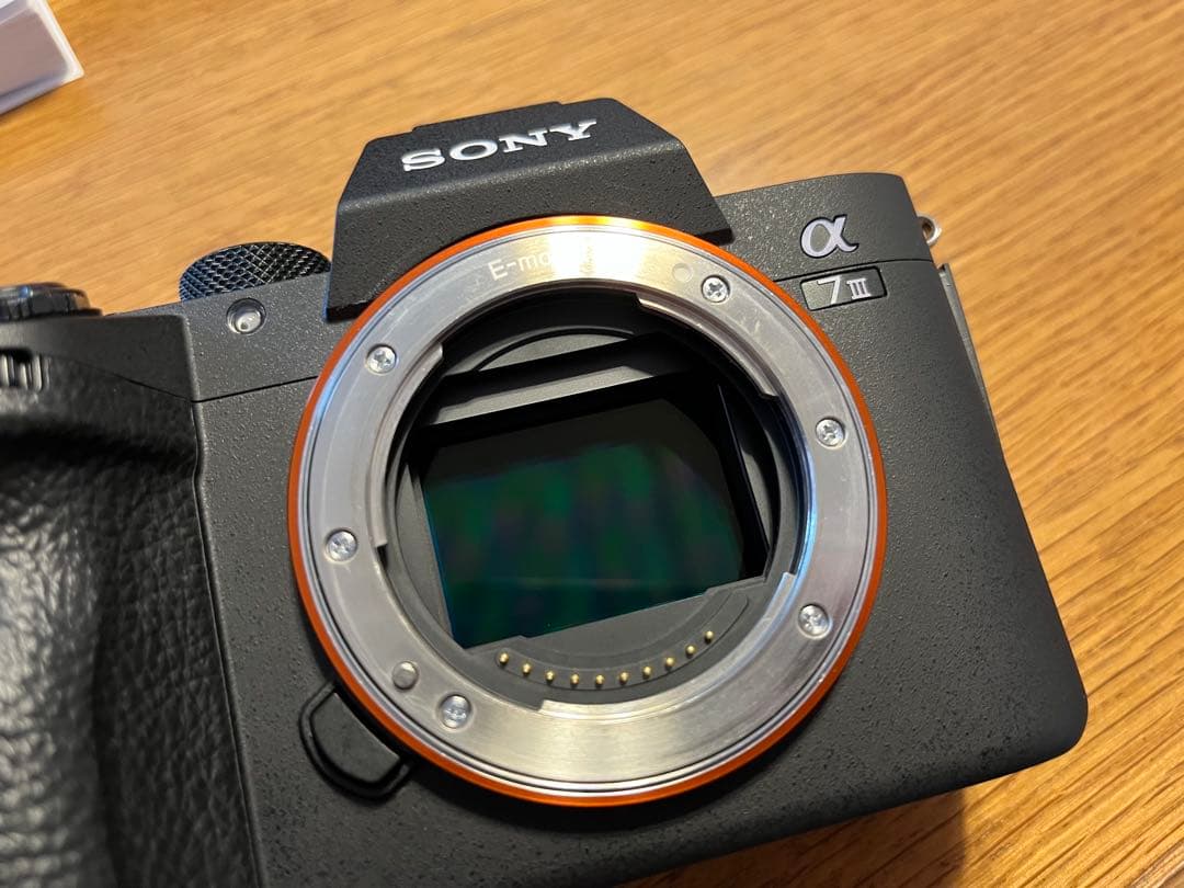 SONY α7Ⅲ バッテリーグリップ ゲージ