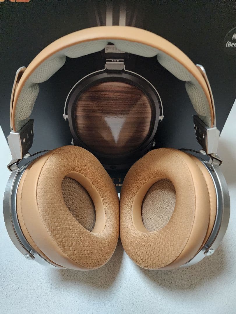 FIIO フィーオ FT1 Beech