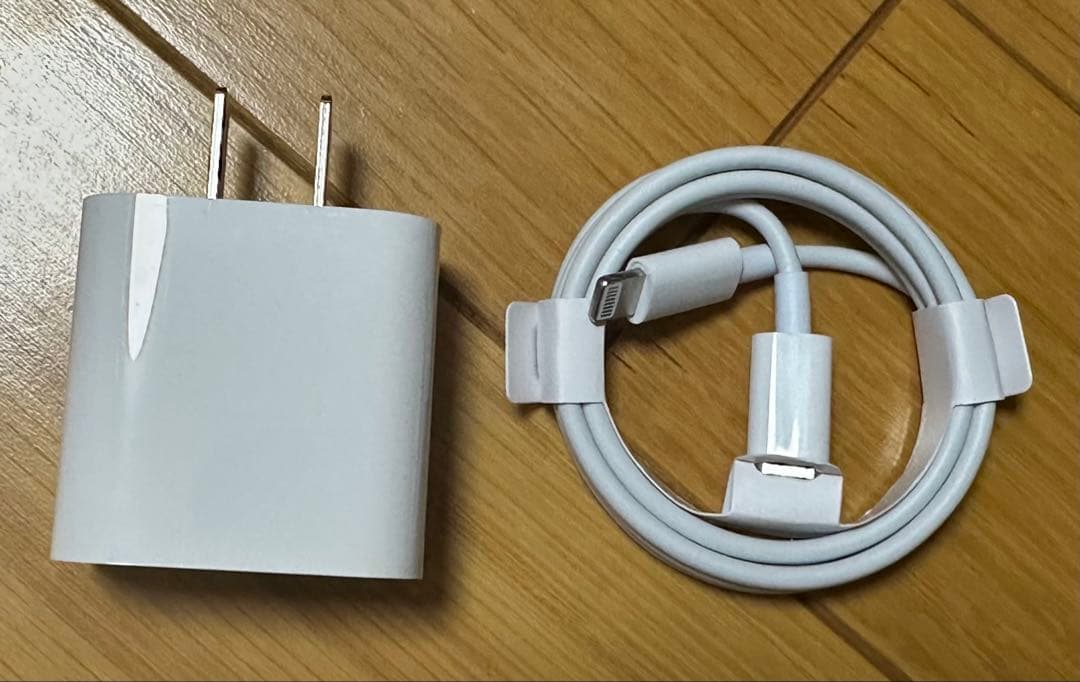 【今日限定4,000円値下げ】Apple iPad 第6世代 シルバー 本体