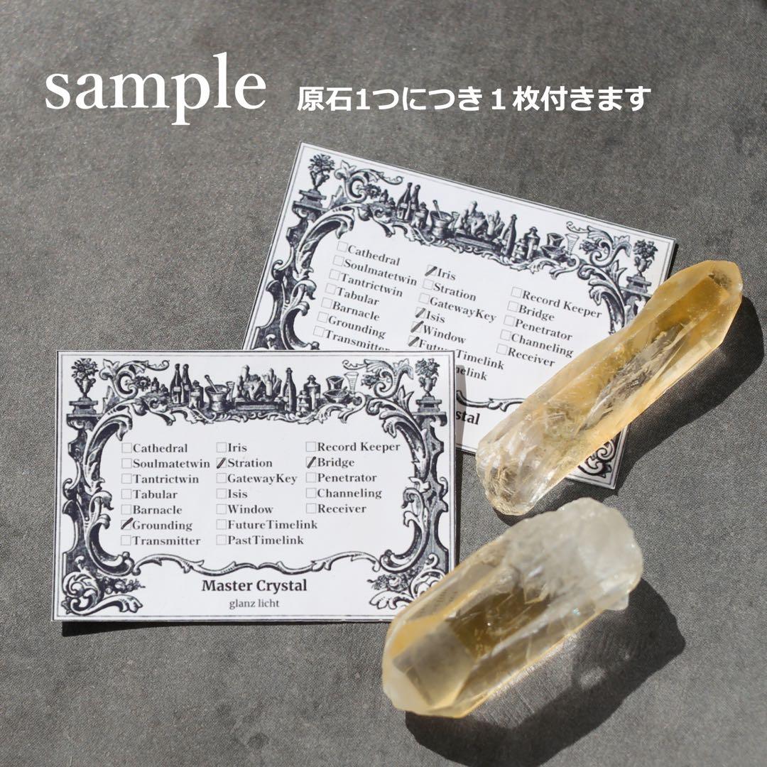 希少！ブラックレムリアンシード 天然石 水晶 鉱物 クォーツ セルフヒールド