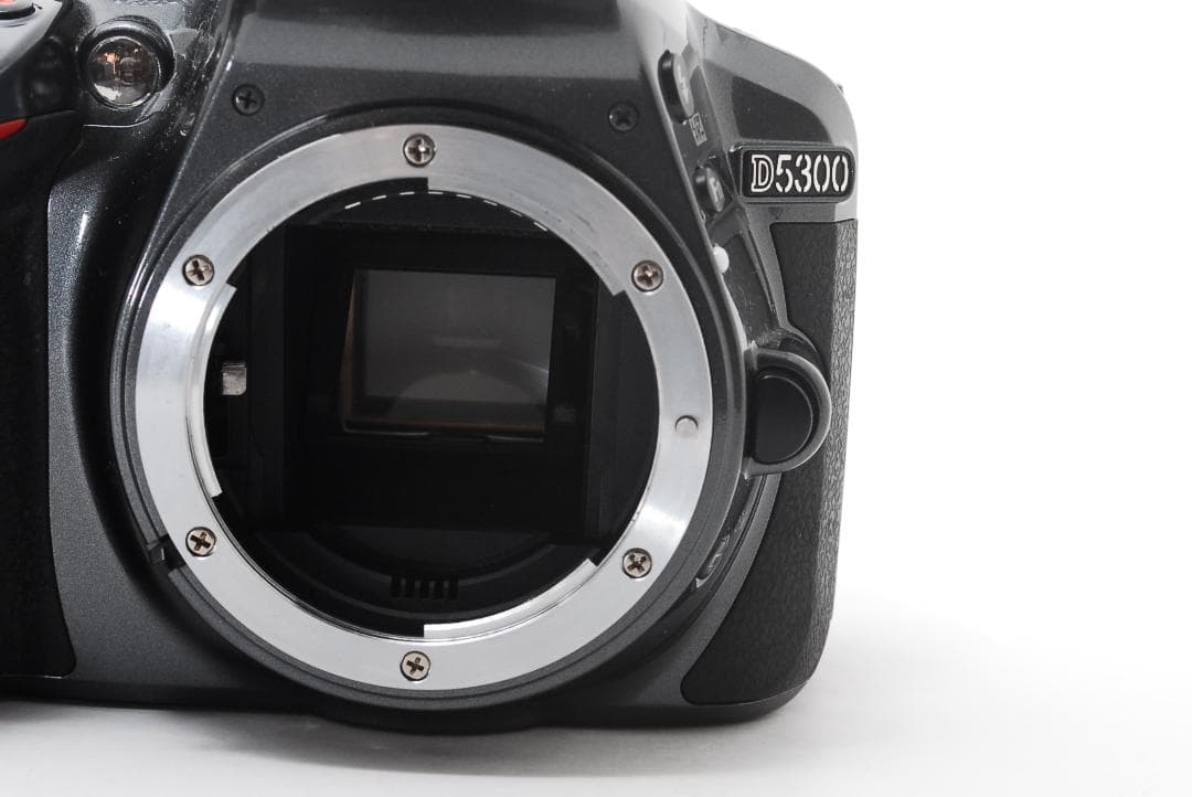 一眼レフ Nikon D5300 高画質Wi-Fi✨標準ズーム付