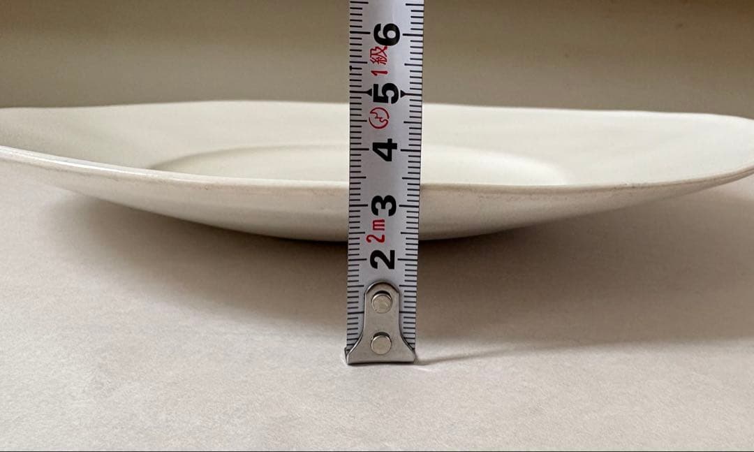 【安藤雅信】オランダ皿 2枚セット