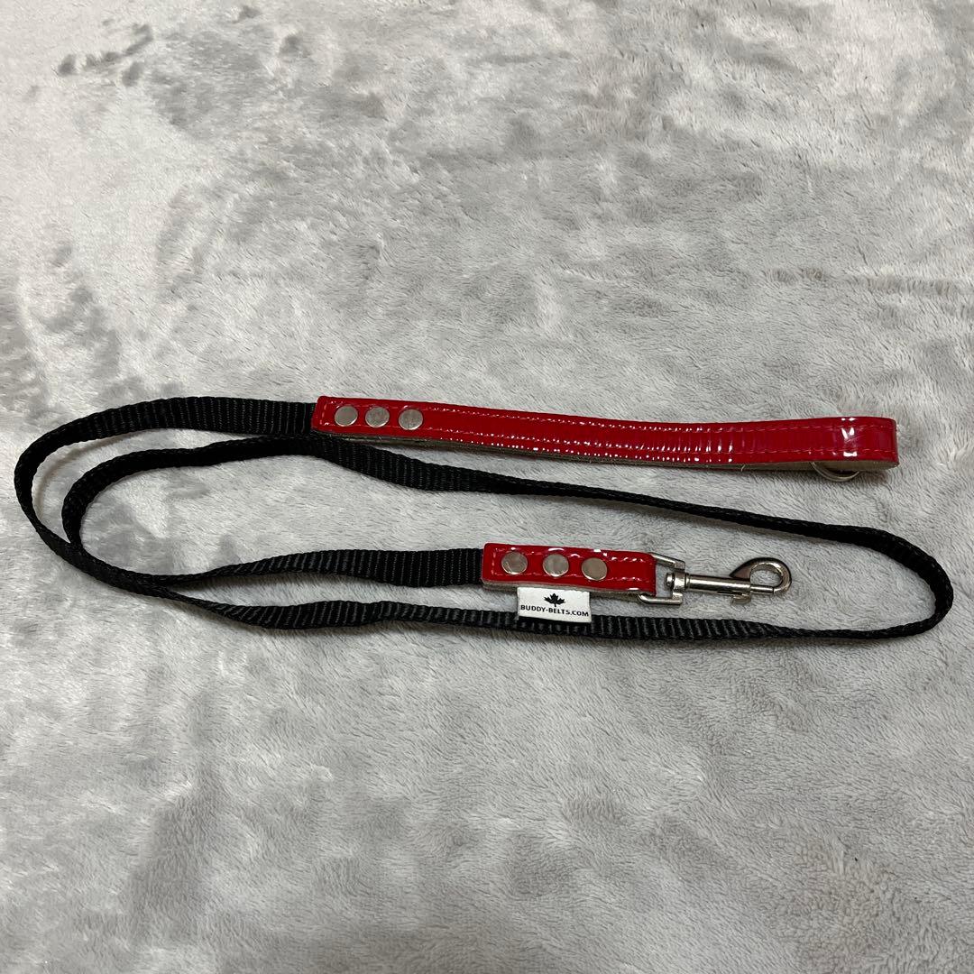 BUDDY BELTエナメルレッド貴重な限定色3.5号&リードSサイズセット