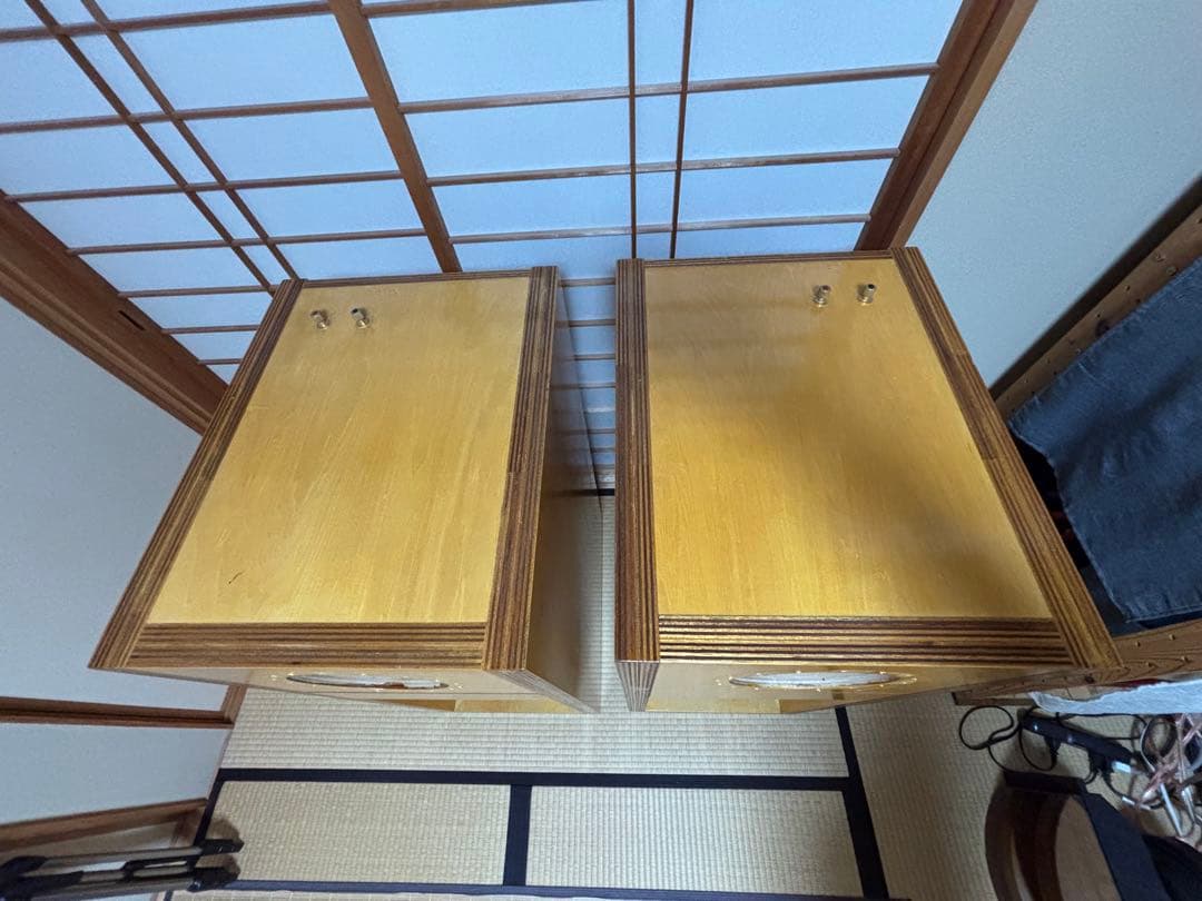 Ｄ58ＥＳ　バックロードホーン