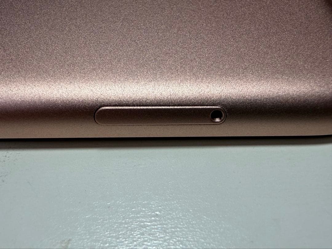 のりしお iPad Air3 Wifi+Cellularローズゴールド