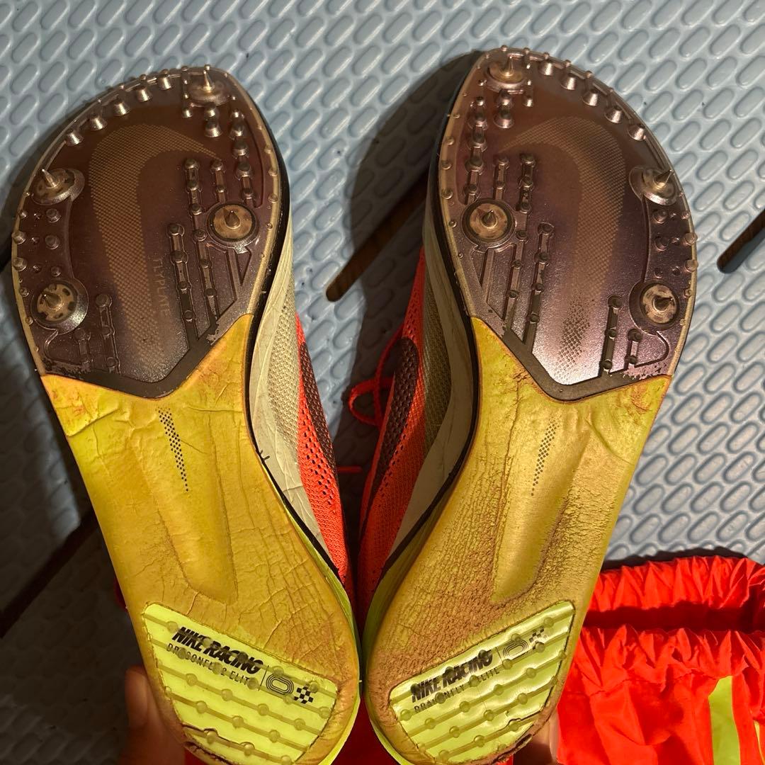 ドラゴンフライエリート