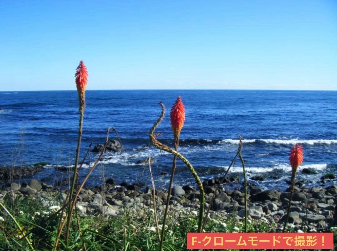 【作例写真有り】動作確認済み！稼動品 FinePix Z10fd PINKピンク