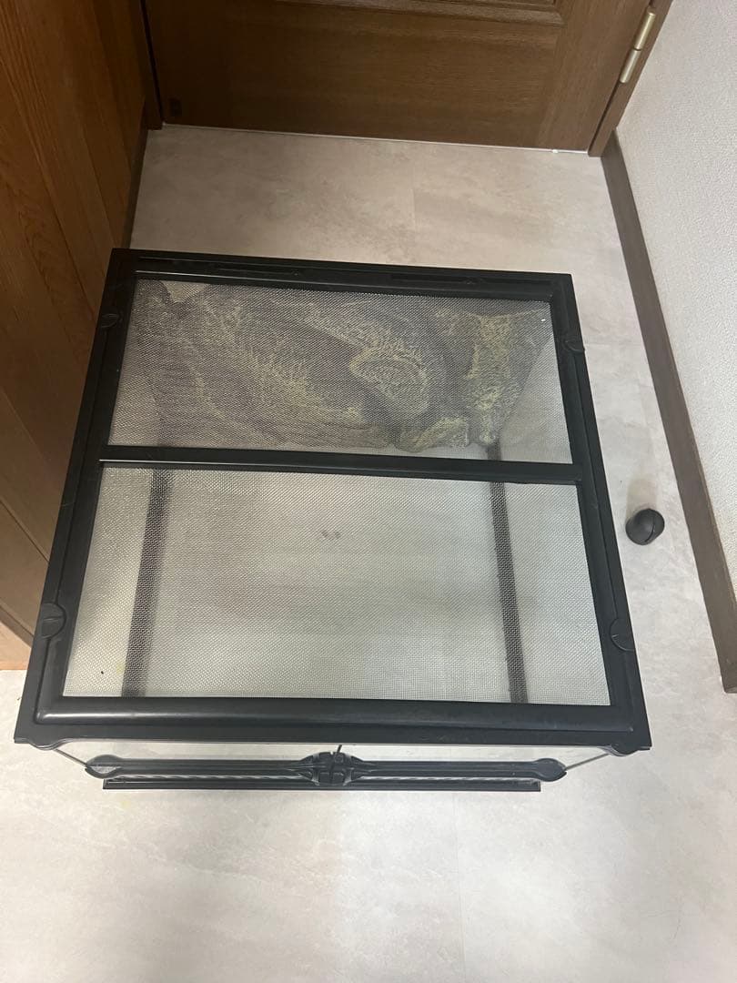 GEX グラステラリウム 4530 着払い