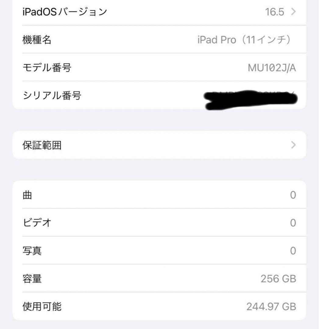 iPad Pro 11インチ 256GB Wi-Fi + Cellular