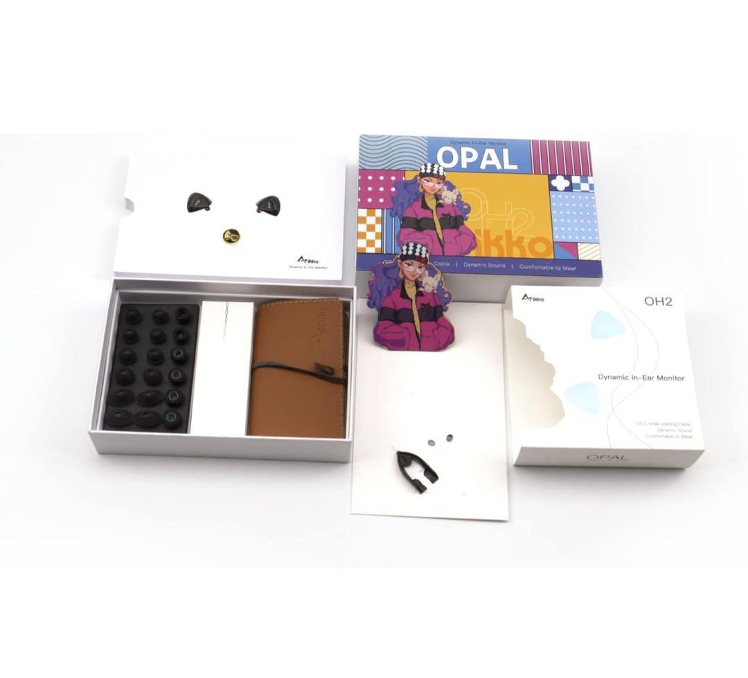 SALE中❣️ikkoアイコーOH2 IEM カナル型 イヤホン 有線　オーディオ