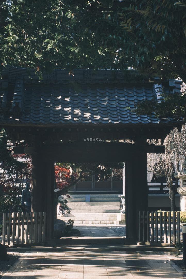 良品！木村文乃使用モデル！Leica Elmarit 90mm F2.8