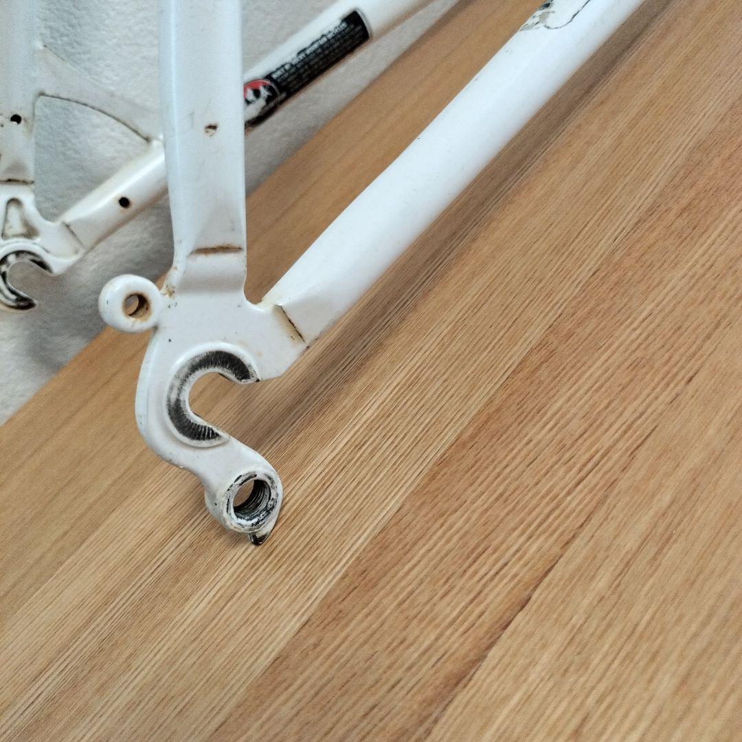 く*ー様 ROCKY MOUNTAIN BLIZZARD MTBフレーム　電蝕ジ