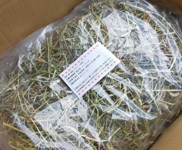 【1/14まで】 カナダ産 チモシー 50kg スーパープレミアム １番刈り