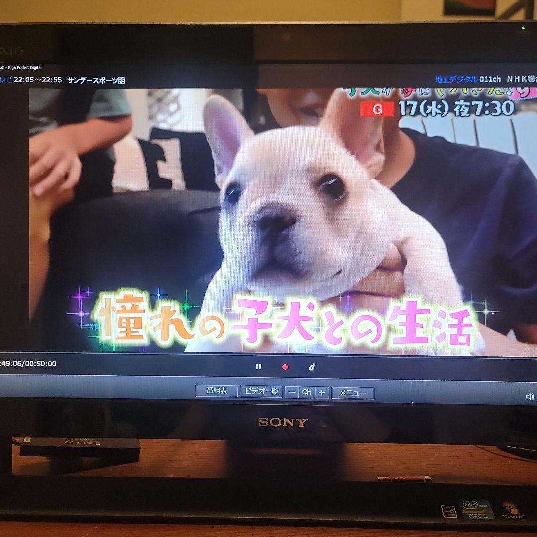 Windowsデスクトップ VAIO VPCJ238FJ