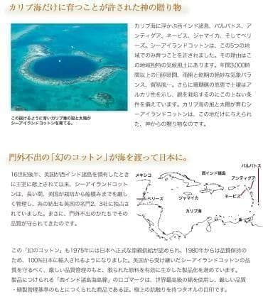 ラスト1 UCHINO 繊維の宝石海島綿 グレイスフル バスタオル