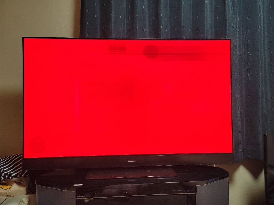 DEN DEN VIERA 有機EL TH-55GZ2000 訳あり品