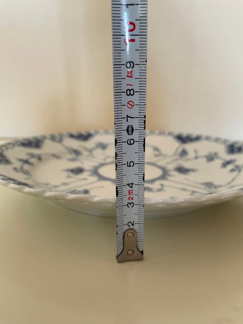   ブルー・フルーテッド、フルレース　24.5㎝