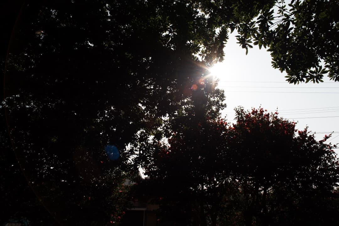 【美品】動作◎ オリンパス Zuiko auto-w 24mm F2.8 173