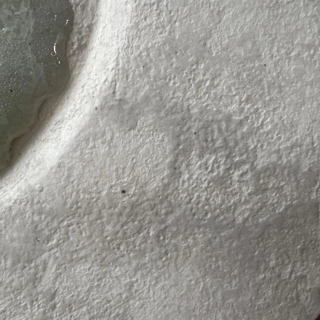 櫻井美奈子 オルミナキルン 大皿 / 陶器 硝子