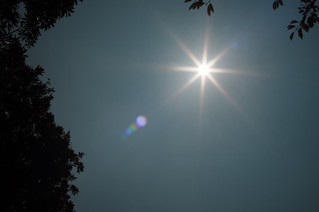 【詳細テスト済】Canon FD 50mm F1.4 S.S.C 558