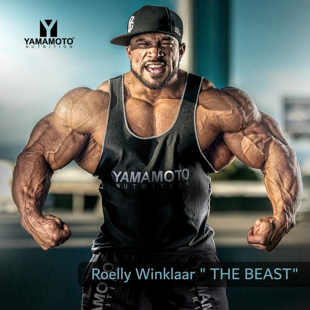 YAMAMOTO NUTRITION ヤマモト・ニュートリション セットアップ