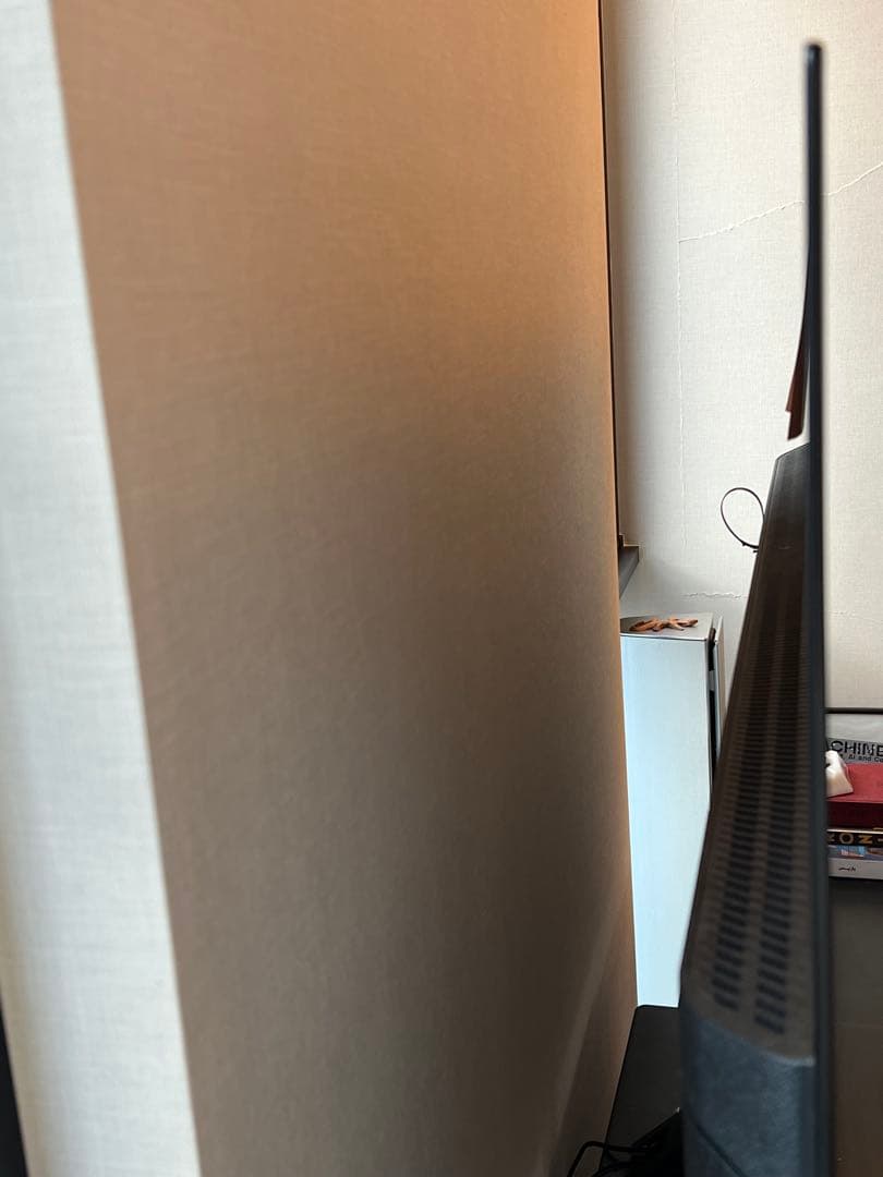 Panasonic ビエラ 有機ELテレビ TH-55GZ1000