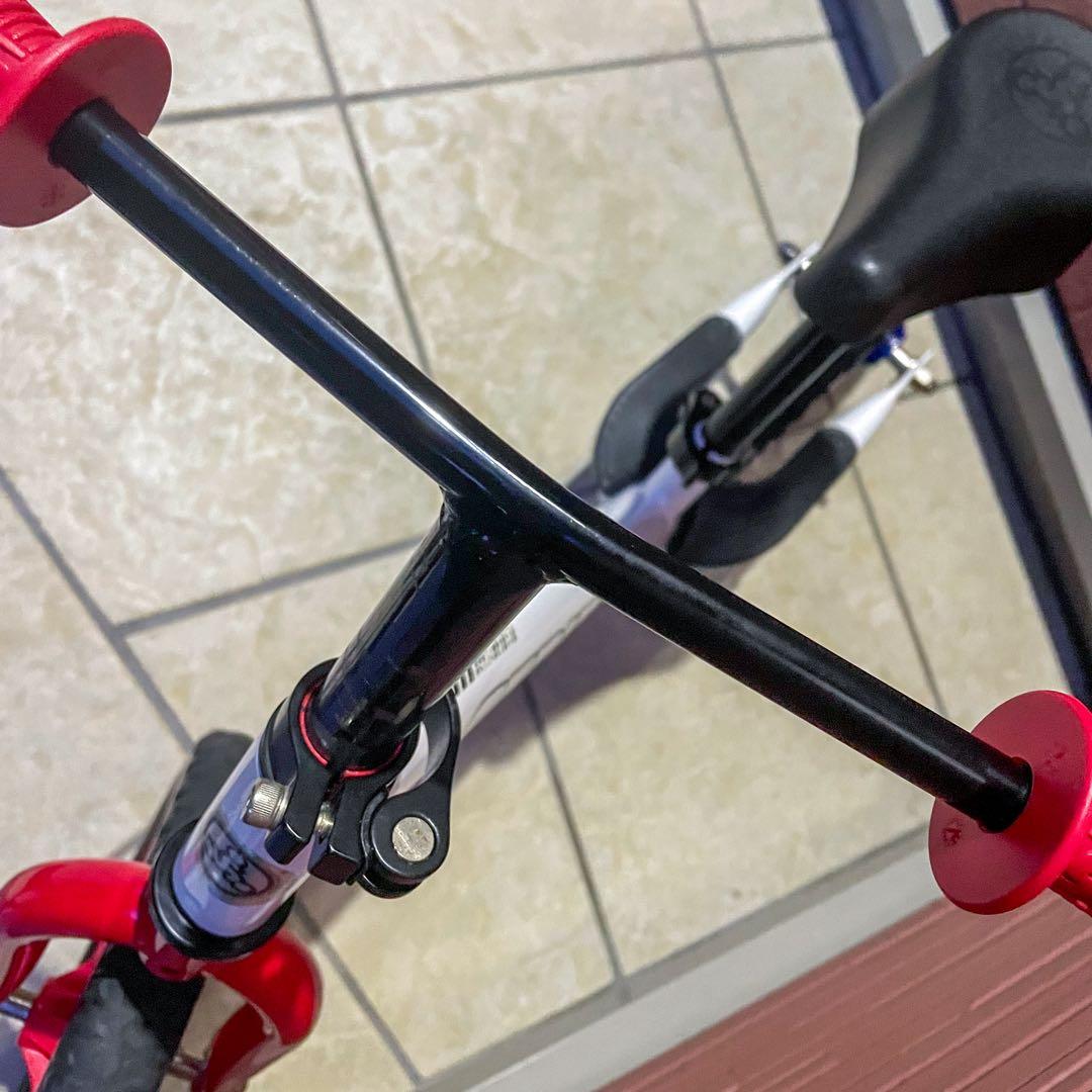 【美品】【限定色】STRIDER バランスバイク トリコロール