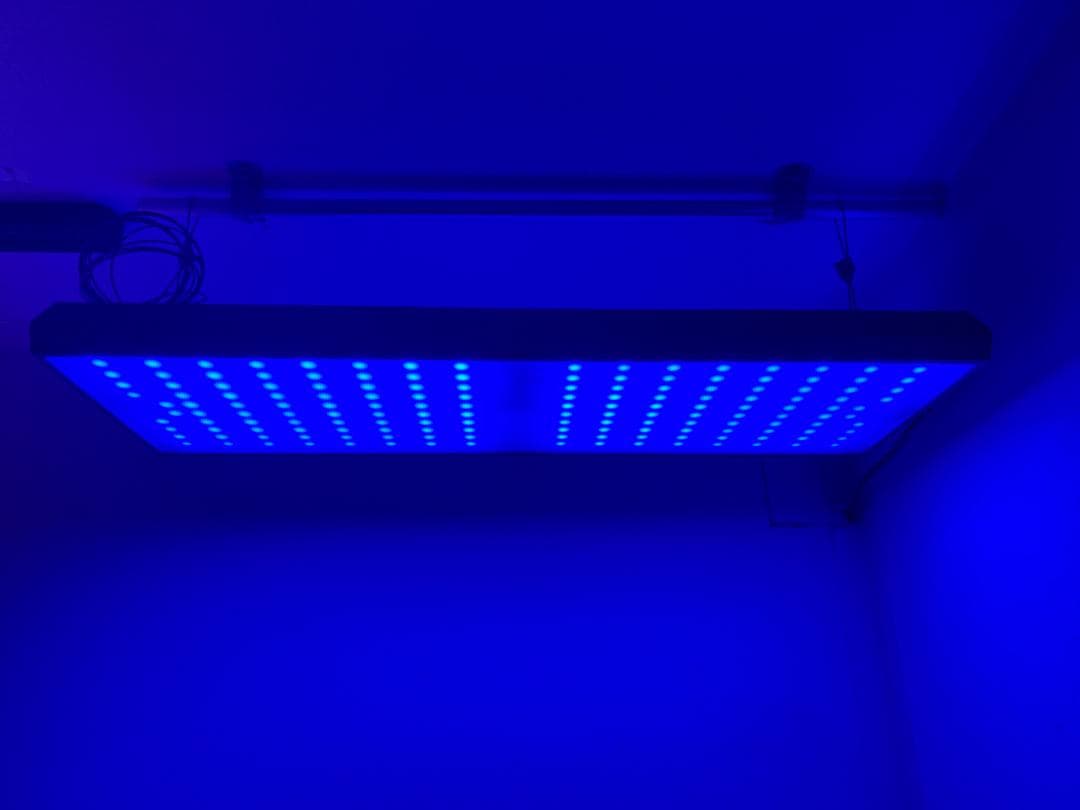 Chihiros LED RGB VIVID2 ブラック 水槽用　照明　水草