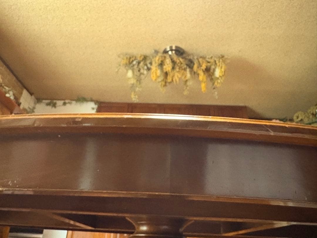 バロッサバレンティ　スペイン　オーバル180テーブル