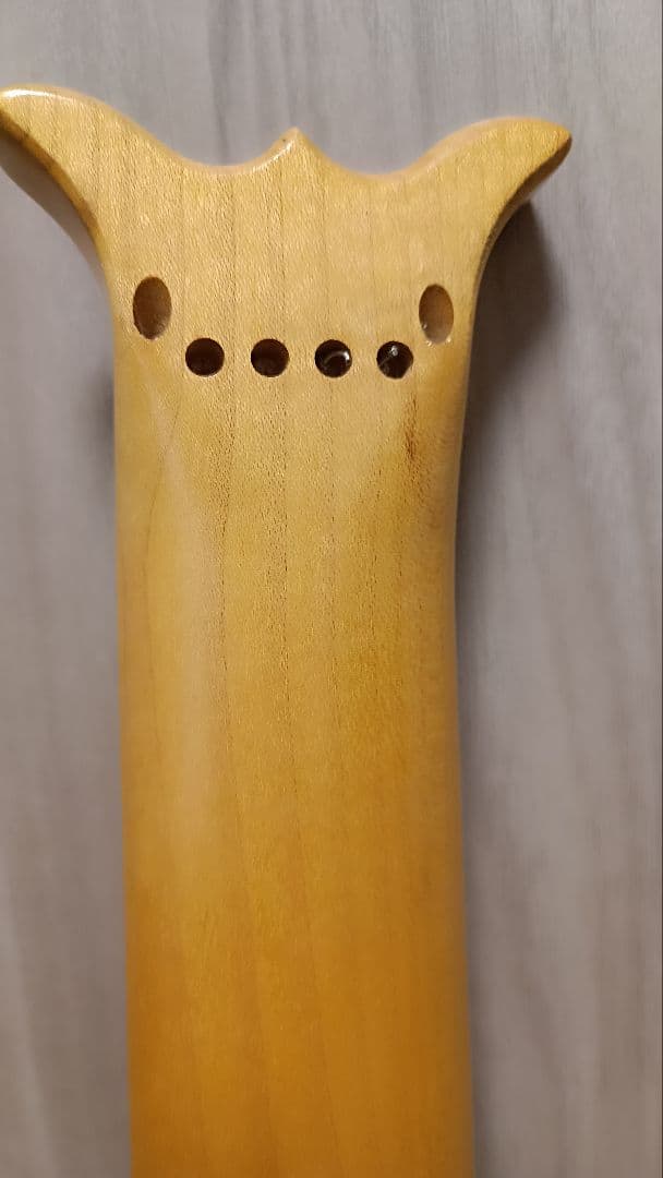 ARIA Sinsonido AS-490C サイレントギター