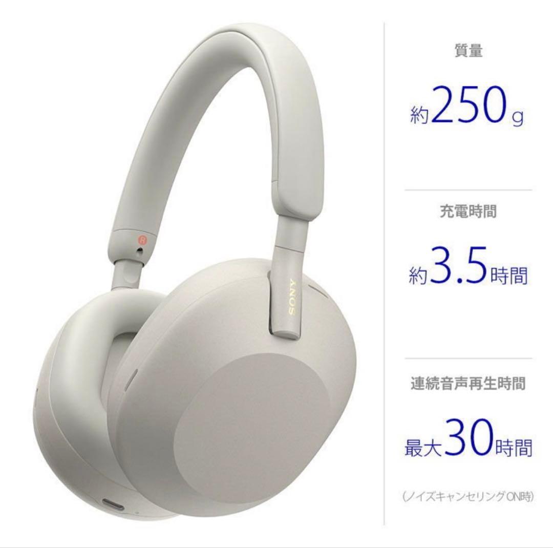 ヘッドホン P