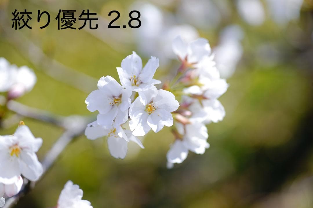 ジャンク MACRO 70mm F2.8 EX DG
