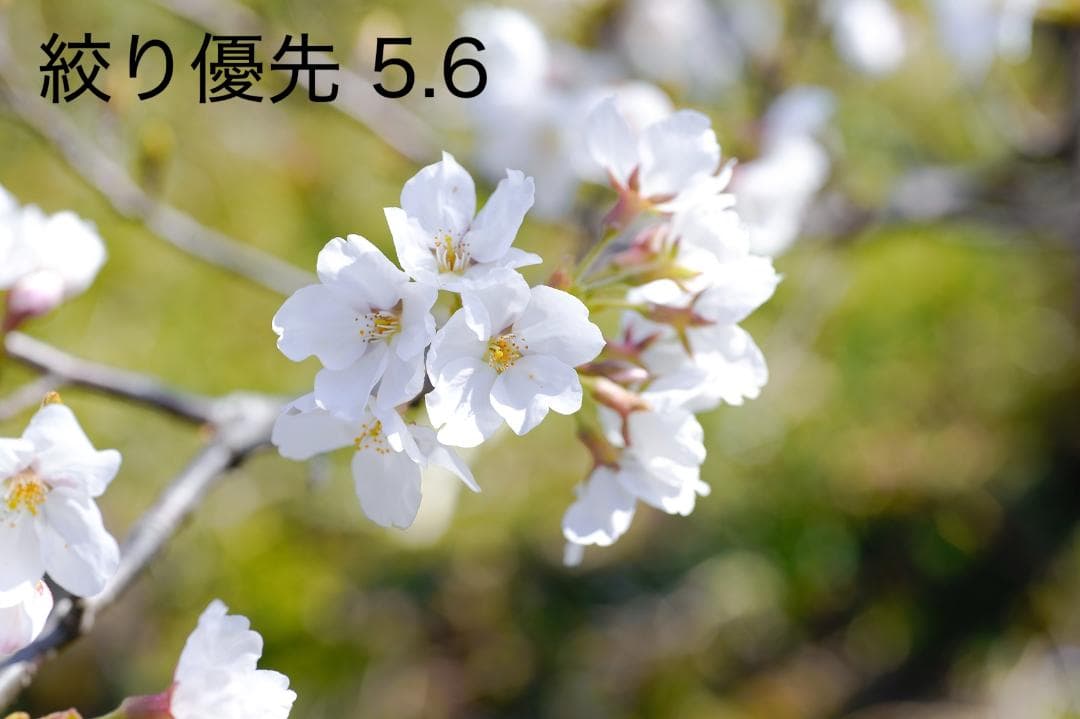 ジャンク MACRO 70mm F2.8 EX DG